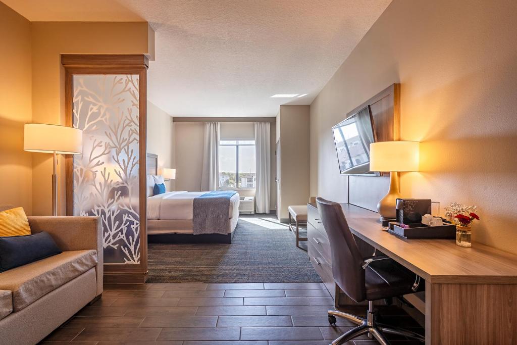 Suite, 1 King Bed (King Suite) photo