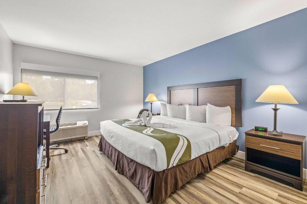 1 King Bed, Mobility and Hearing Accessible No Smoking photo