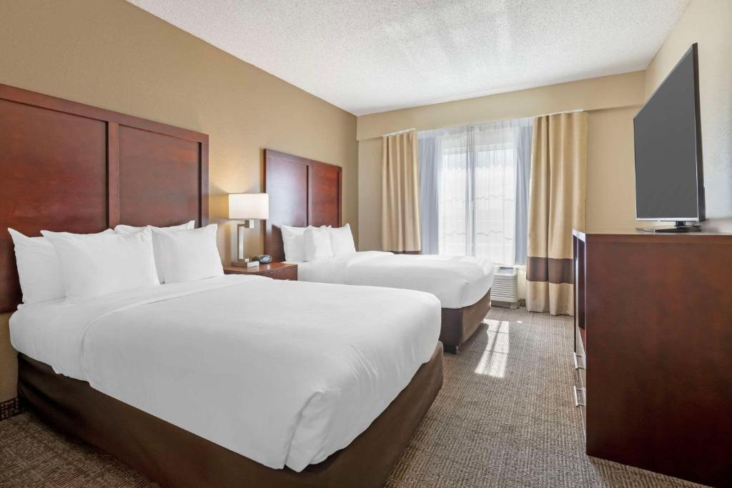 Comfort Suites Downtown gallery 8