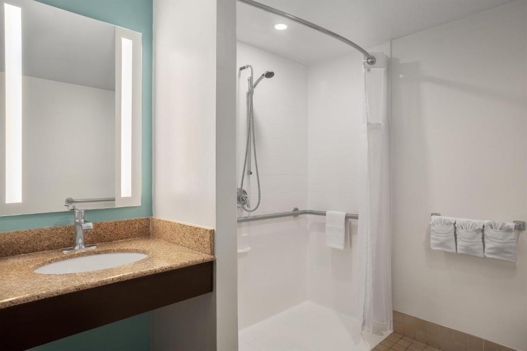 Hilton Garden Inn Tampa North gallery 9