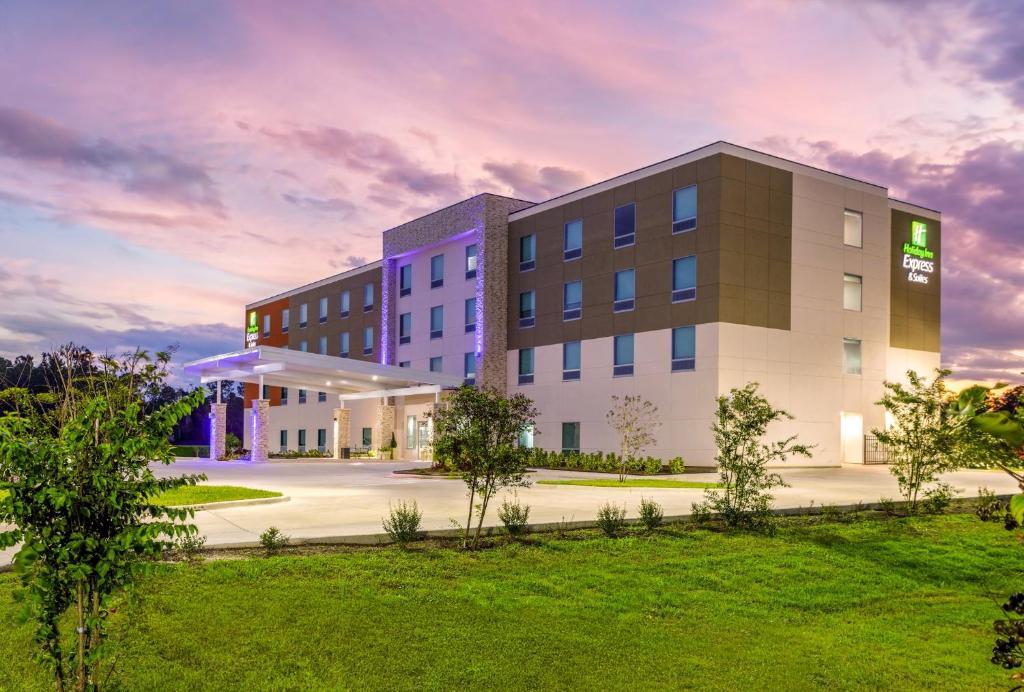 Holiday Inn Express & Suites Macclenny by IHG gallery 18
