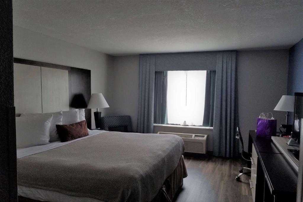 Wyndham Garden Jacksonville gallery 7